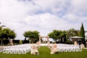 0251SR Westin Carlsbad Wedding Photography