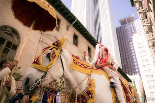 Barrat Horse Millennium Biltmore Hotel Los Angeles Wedding Photography Baraat Indian Wedding Tradition Barrat Horse Millennium Biltmore Hotel Los Angeles Wedding Photography Baraat Indian Wedding Tradition