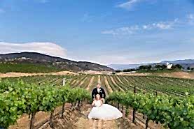 KL-Leonesse-Cellars-Wedding-Photography-0725