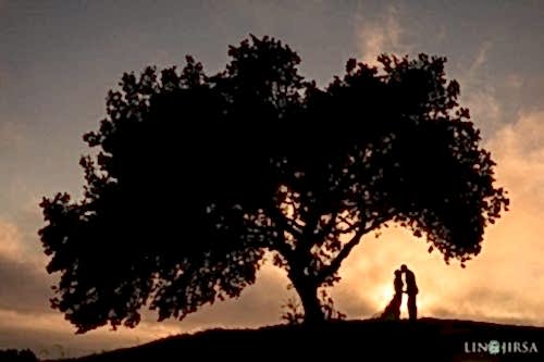 silhouette wedding photography sunset